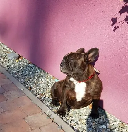 Appartement Lavender Hill *