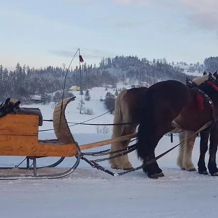 Apartamento Lavender Hill *