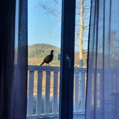 Lavender Hill Appartement