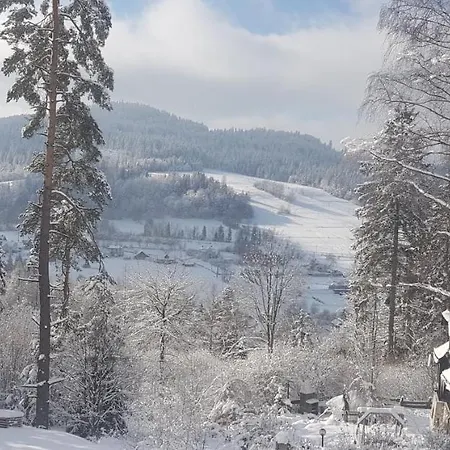 Lavender Hill * Wisła