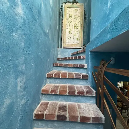 Lavender Hill * Wisła