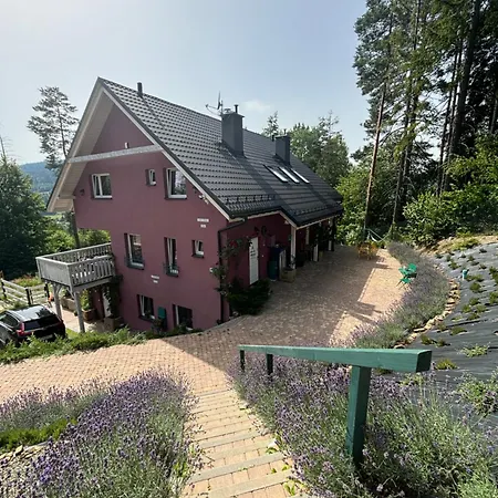 Lavender Hill Apartamento