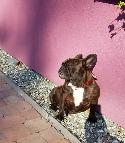 Appartement Lavender Hill *