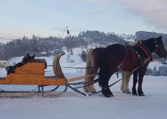 Appartement Lavender Hill *