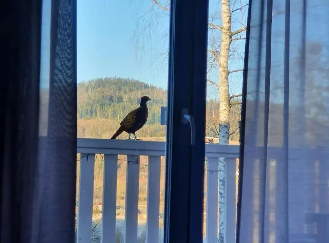 Lavender Hill Appartement