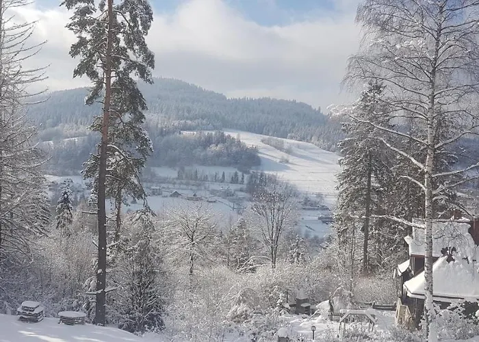 Lavender Hill * Wisła