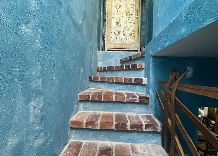 Lavender Hill * Wisła