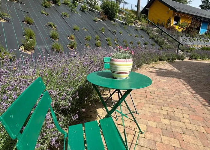 דירה Lavender Hill