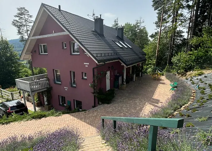 Lavender Hill Appartement